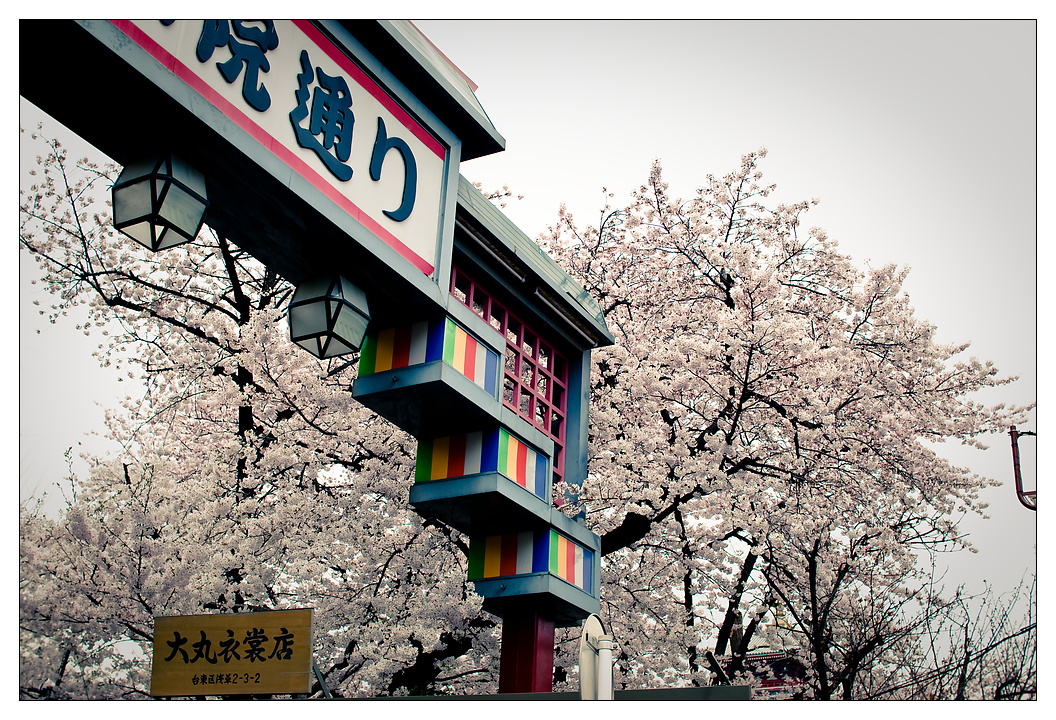 穿和服看櫻花!漫步淺草一日遊 - 仲見世商店街