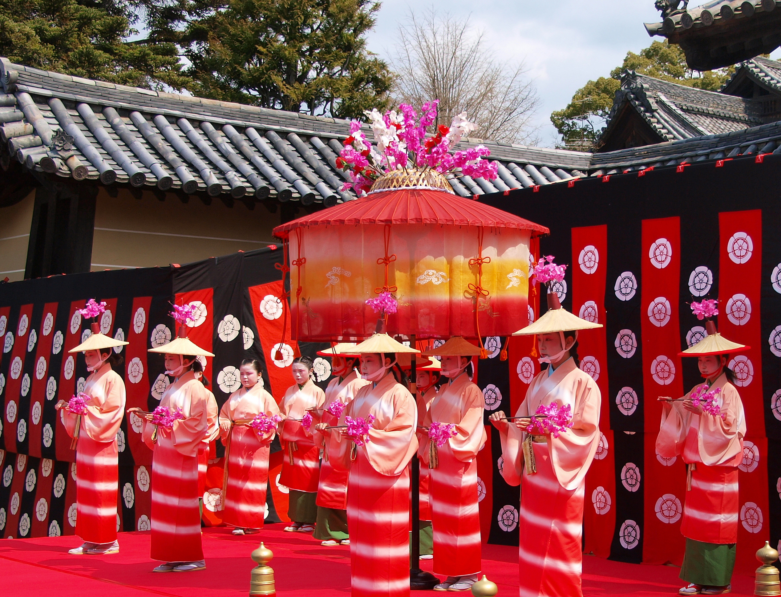 2019 京都10大賞梅名所 隨心院 小野梅園