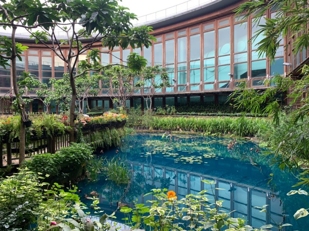 台北好去處 台北野餐地點 台北野餐 草地野餐 台北郊遊 台北郊外 野餐活動 野餐地點 華山 野餐 圓山 野餐 內湖 野餐 台北假日去處