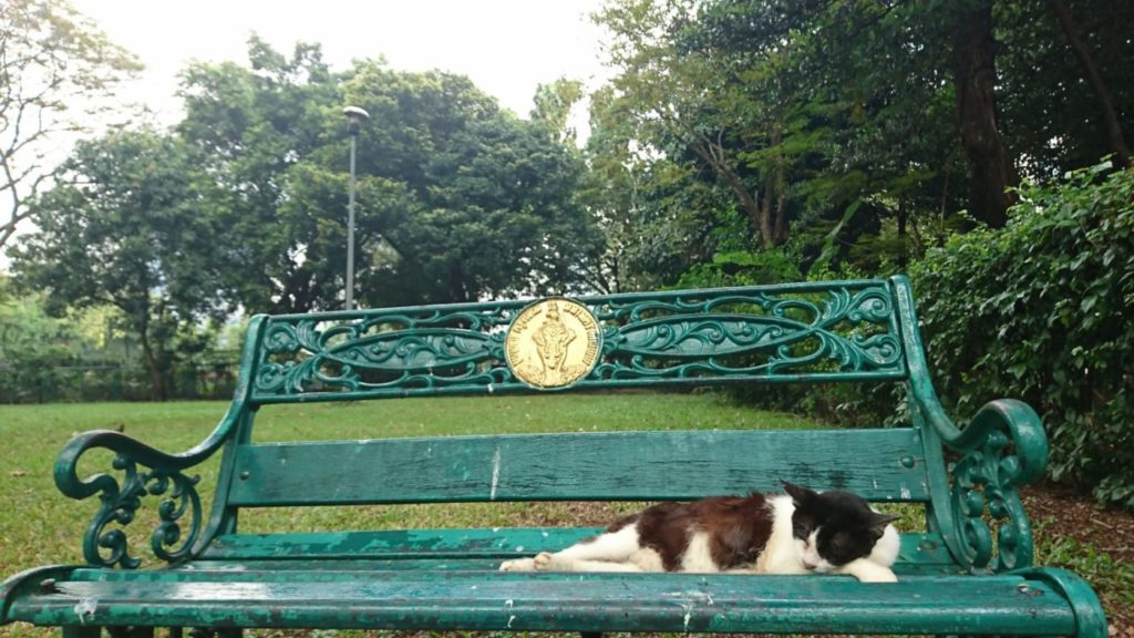 曼谷景點 曼谷公園 曼谷必逛公園 倫披尼公園 Lumphini Park 班哲希利公園 Benchasiri Park 班嘉奇蒂公園 Benjakitti Park