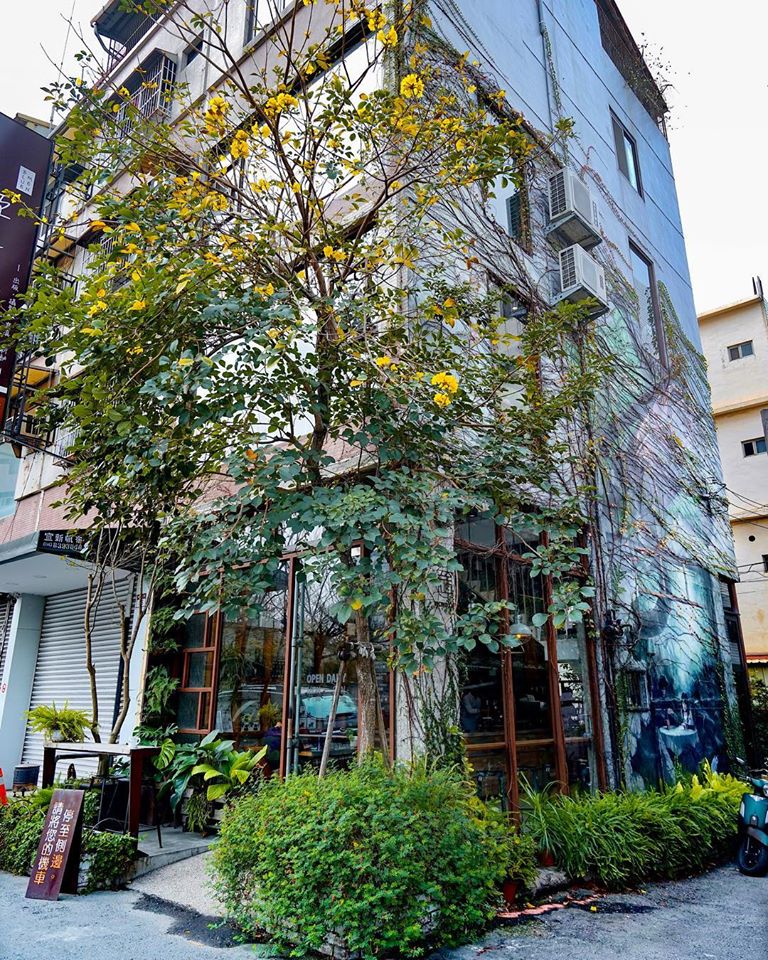 彰化景點推薦精品咖啡店​右舍咖啡 vicinocafe，霸氣的獨棟住宅外觀藤蔓纏繞，門口更有風鈴木隨著季節變換色彩