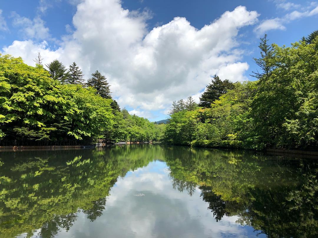 輕井澤 雲場池