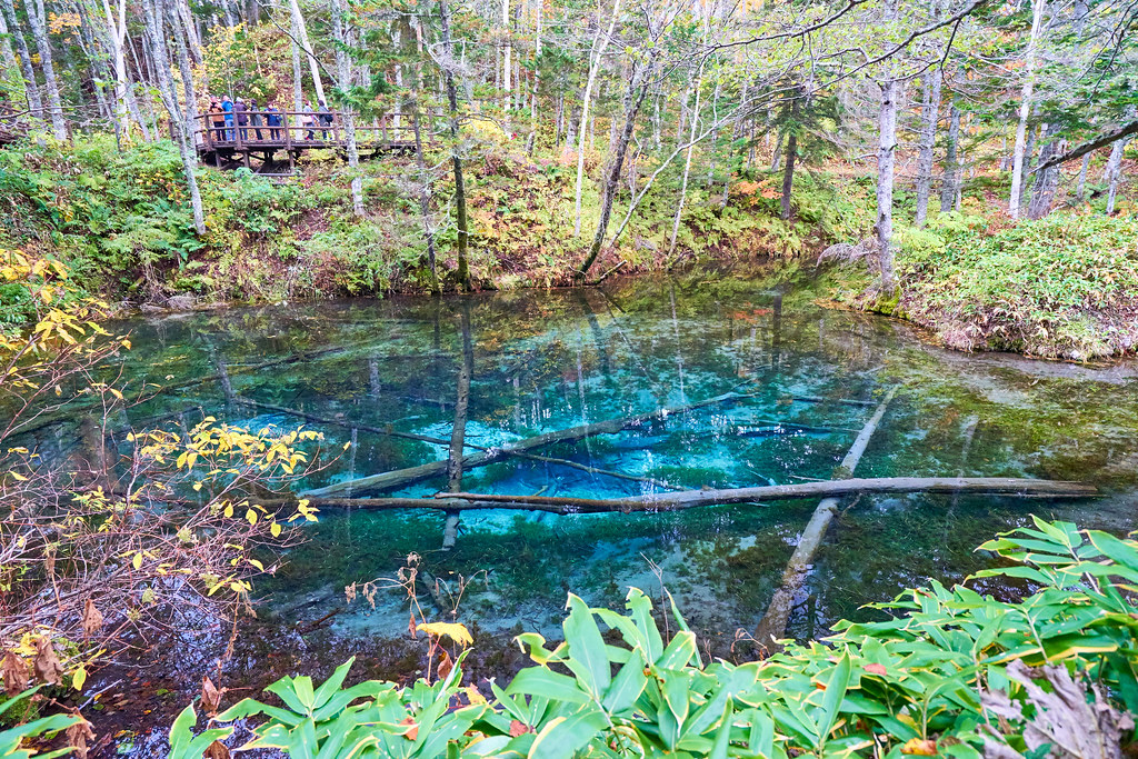 犘周湖（神之子池）｜北海道 Hokkaido 北海道自由行 北海道行程 北海道景點 北海道道東景點 北海道道東行程 道東三湖 阿寒湖 Lake Akan 摩周湖 Lake Mashu 屈斜路湖 Lake Kussharo
