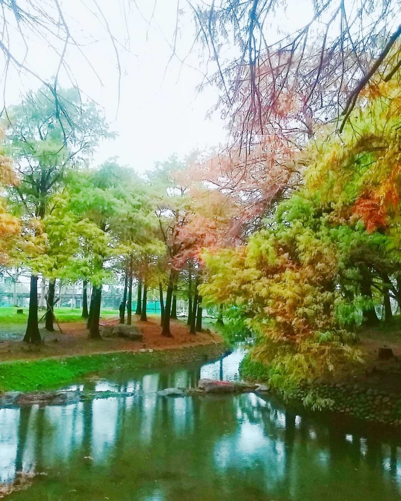羅東運動公園