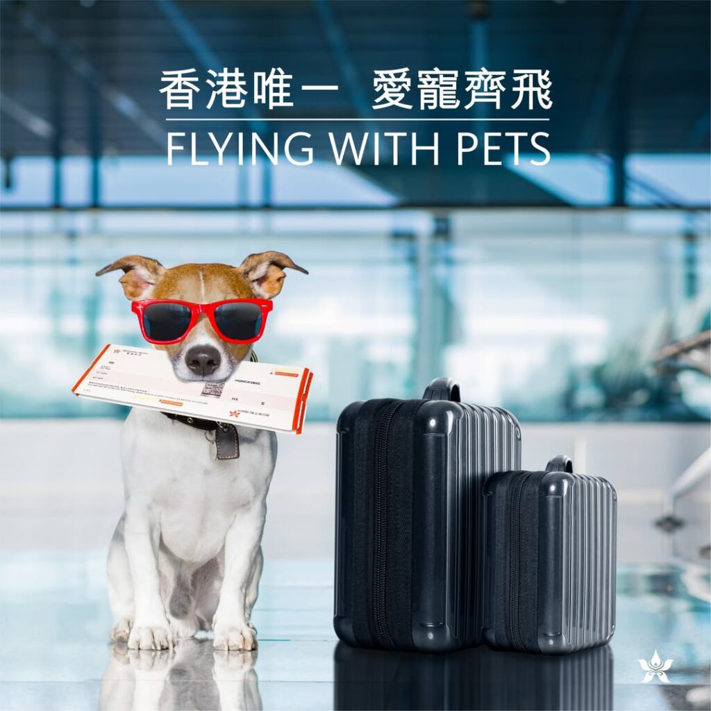 香港航空推出全港首創「愛寵齊飛」服務