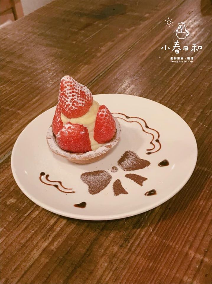 台北貓cafe 台北貓咪咖啡廳 台北咖啡店 台北貓奴 台北貓餐廳 台北貓中途 台北貓領養 台北貓住宿 小春日和 動物雜貨 台北民生區貓cafe