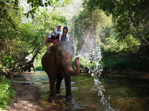 Khao Yai National Park 考艾國家公園 泰國考艾 考艾自由行 考艾景點 考艾美食 考艾夜市 考艾行程 考艾交通 Khao Yai 車程