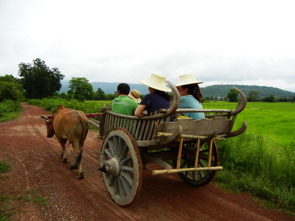 Khao Yai National Park 考艾國家公園 泰國考艾 考艾自由行 考艾景點 考艾美食 考艾夜市 考艾行程 考艾交通 Khao Yai 車程