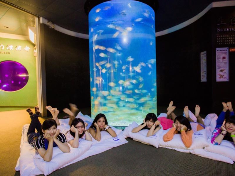 台灣墾丁 墾丁自由行 墾丁海生館 墾丁海生館前往交通 墾丁海生館的夜宿活動 墾丁海生館的門票 墾丁街車前往墾丁海生館 墾丁景點 墾丁親子景點
