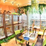 治癒系新登場!超可愛鸚鵡Cafe@大阪心齋橋