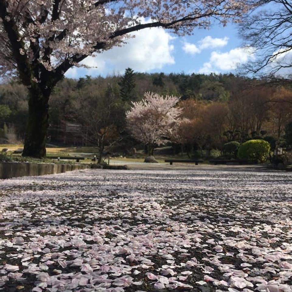 春天：櫻花｜有馬溫泉古泉閣旅館（Kosenkaku）有馬溫泉 有馬溫泉旅館 有馬溫泉酒店 有馬溫泉飯店 有馬天然溫泉 Arima Onsen 有馬温泉