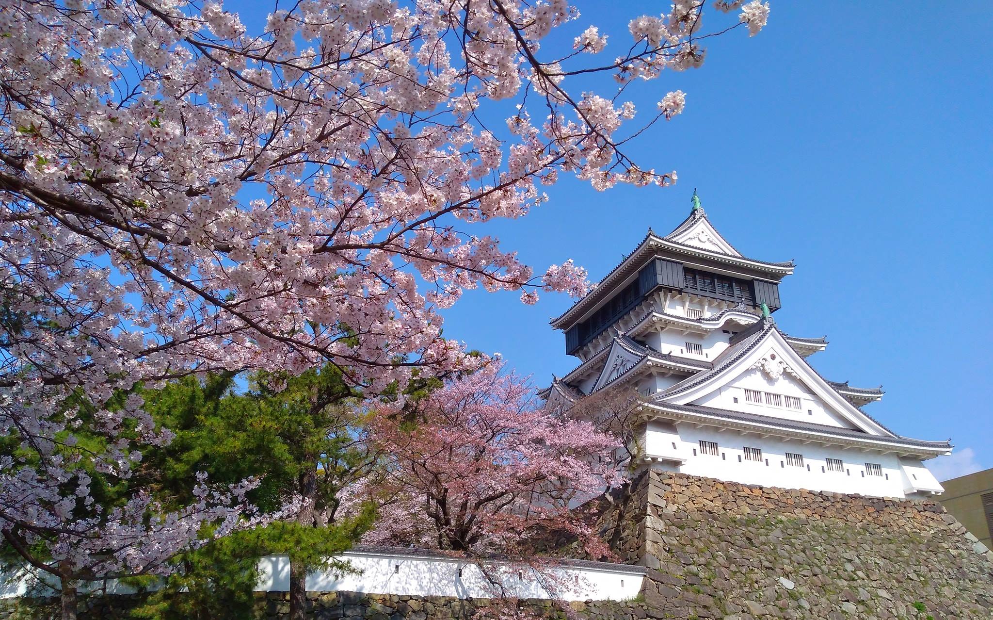 小倉城｜福岡 Fukuoka 福岡自由行 福岡景點 福岡行程 福岡美食 福岡必玩 福岡好去處 福岡購物 福岡必食