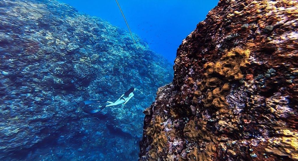 台東綠島 綠島潛水 綠島潛點 綠島水肺潛水 綠島水肺潛點 綠島水肺潛水潛點 綠島岸潛 綠島船潛
綠島海底大峽谷