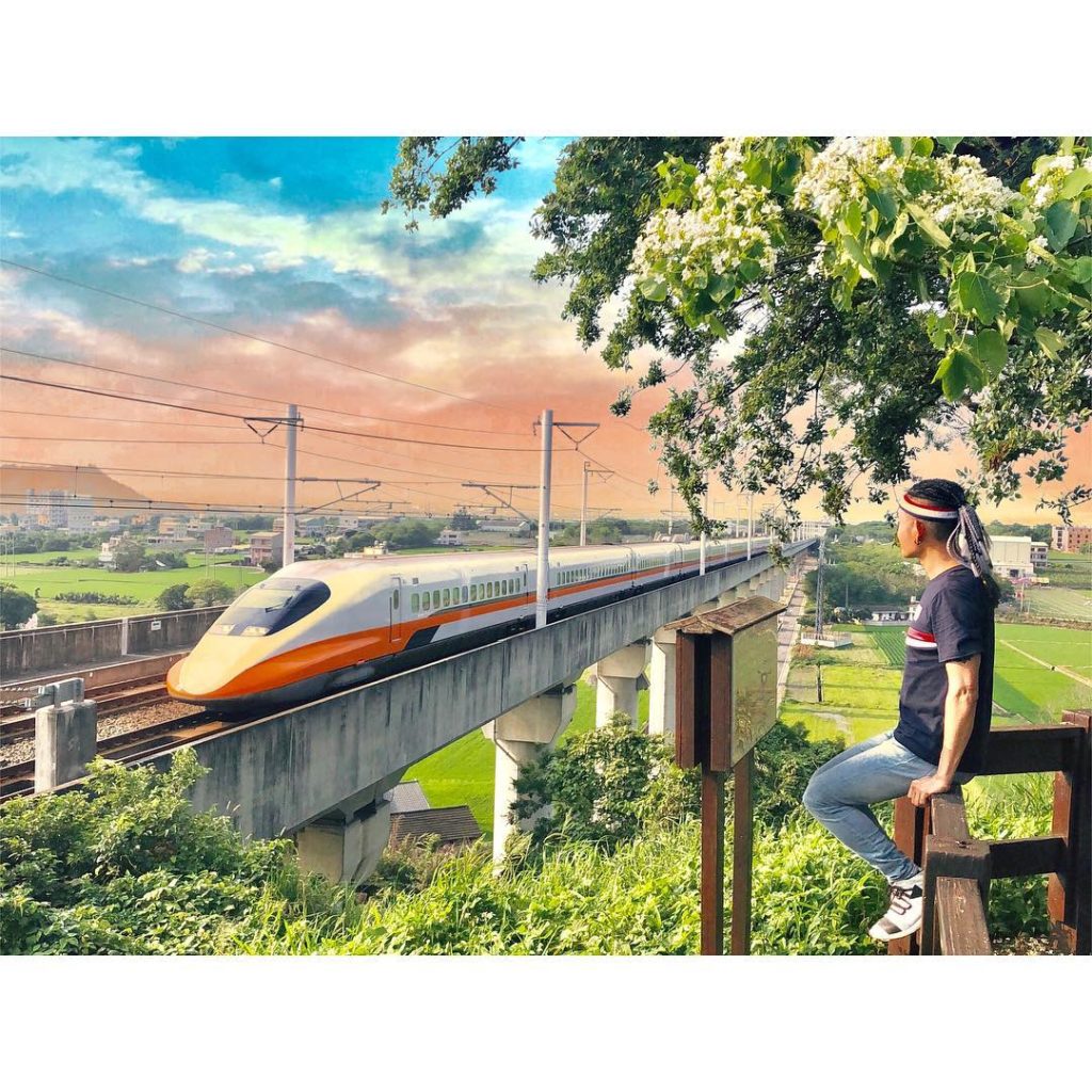 台中桐花 台中油桐花 台中賞桐花 台中桐花時間 台中桐花季節 台中桐花5月 外埔區永豐里桐花步道
