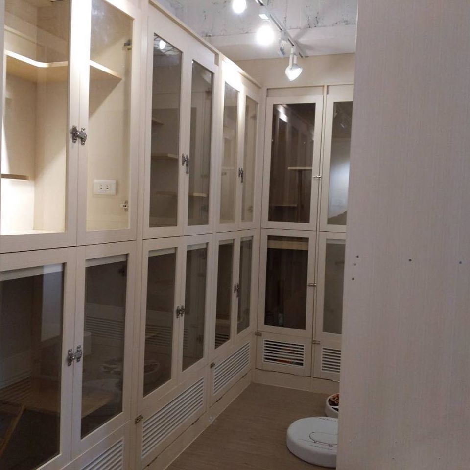 台北貓cafe 台北貓咪咖啡廳 台北咖啡店 台北貓奴 台北貓餐廳 台北貓中途 台北貓領養 台北貓住宿 日日好時光 捷運大安站貓cafe
