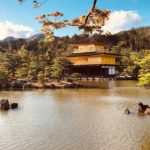 關西 Kansai かんさいちほう 大阪 Osakaおおさかふ 京都 Kyotoきょうとし 宇治 Ujiうじし 奈良 Naraならけん 名古屋 Nagoyaなごや 和歌山 Wakayamaわかやまし 神戶 Kobeこうべし 關西必到 關西必去 關西自由行 關西行程 關西行程包 大阪必到 大阪必去 大阪自由行 大阪行程 大阪行程包 京都必到 京都必去 京都自由行 京都行程 京都行程包 宇治必到 宇治必去 宇治自由行 宇治行程 宇治行程包 奈良必到 奈良必去 奈良自由行 奈良行程 奈良行程包 名古屋必到 名古屋必去 名古屋自由行 名古屋行程 名古屋行程包 和歌山必到 和歌山必去 和歌山自由行 和歌山行程 和歌山行程包 神戶必到 神戶必去 神戶自由行 神戶行程 神戶行程包 關西機場 懶人包 關西五天四夜 大阪自由行行程推薦 大阪自由行blog 大阪自由行交通 大阪三天兩夜行程 大阪自由行2018 大阪2018 大阪行程ptt 大阪五天四夜花費 6月大阪自由行 錦市場 花見小路 八坂神社 二年坂 三年坂 清水寺 嵐山小火車 竹林小徑 天龍寺 渡月橋 金閣寺 嵐山 伏見稻荷大社 祇園