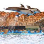 關西 Kansai かんさいちほう 大阪 Osakaおおさかふ 京都 Kyotoきょうとし 宇治 Ujiうじし 奈良 Naraならけん 名古屋 Nagoyaなごや 和歌山 Wakayamaわかやまし 神戶 Kobeこうべし 關西必到 關西必去 關西自由行 關西行程 關西行程包 大阪必到 大阪必去 大阪自由行 大阪行程 大阪行程包 京都必到 京都必去 京都自由行 京都行程 京都行程包 宇治必到 宇治必去 宇治自由行 宇治行程 宇治行程包 奈良必到 奈良必去 奈良自由行 奈良行程 奈良行程包 名古屋必到 名古屋必去 名古屋自由行 名古屋行程 名古屋行程包 和歌山必到 和歌山必去 和歌山自由行 和歌山行程 和歌山行程包 神戶必到 神戶必去 神戶自由行 神戶行程 神戶行程包 關西機場 懶人包 親子遊 關西親子遊 名古屋自由行2018 名古屋旅遊 名古屋夏天自由行 名古屋自駕遊 名古屋自由行交通 名古屋白川鄉 名古屋高山 大阪名古屋自由行2018 名古屋金澤 asiayo名古屋 名古屋港水族館 LEGOLAND LEGOLAND日本 日本LEGOLAND 名古屋legoland攻略 名古屋legoland泊車 名古屋樂高樂園限定 日本樂高樂園地圖 legoland門票 名古屋legoland自由行 legoland hotel sea life nagoya legoland malaysia legoland門票平 名古屋LEGOLAND