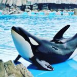 關西 Kansai かんさいちほう 大阪 Osakaおおさかふ 京都 Kyotoきょうとし 宇治 Ujiうじし 奈良 Naraならけん 名古屋 Nagoyaなごや 和歌山 Wakayamaわかやまし 神戶 Kobeこうべし 關西必到 關西必去 關西自由行 關西行程 關西行程包 大阪必到 大阪必去 大阪自由行 大阪行程 大阪行程包 京都必到 京都必去 京都自由行 京都行程 京都行程包 宇治必到 宇治必去 宇治自由行 宇治行程 宇治行程包 奈良必到 奈良必去 奈良自由行 奈良行程 奈良行程包 名古屋必到 名古屋必去 名古屋自由行 名古屋行程 名古屋行程包 和歌山必到 和歌山必去 和歌山自由行 和歌山行程 和歌山行程包 神戶必到 神戶必去 神戶自由行 神戶行程 神戶行程包 關西機場 懶人包 親子遊 關西親子遊 名古屋自由行2018 名古屋旅遊 名古屋夏天自由行 名古屋自駕遊 名古屋自由行交通 名古屋白川鄉 名古屋高山 大阪名古屋自由行2018 名古屋金澤 asiayo名古屋 名古屋港水族館 LEGOLAND LEGOLAND日本 日本LEGOLAND 名古屋legoland攻略 名古屋legoland泊車 名古屋樂高樂園限定 日本樂高樂園地圖 legoland門票 名古屋legoland自由行 legoland hotel sea life nagoya legoland malaysia legoland門票平 名古屋LEGOLAND