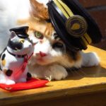 關西 Kansai かんさいちほう 大阪 Osakaおおさかふ 京都 Kyotoきょうとし 宇治 Ujiうじし 奈良 Naraならけん 名古屋 Nagoyaなごや 和歌山 Wakayamaわかやまし 神戶 Kobeこうべし 關西必到 關西必去 關西自由行 關西行程 關西行程包 大阪必到 大阪必去 大阪自由行 大阪行程 大阪行程包 京都必到 京都必去 京都自由行 京都行程 京都行程包 宇治必到 宇治必去 宇治自由行 宇治行程 宇治行程包 奈良必到 奈良必去 奈良自由行 奈良行程 奈良行程包 名古屋必到 名古屋必去 名古屋自由行 名古屋行程 名古屋行程包 和歌山必到 和歌山必去 和歌山自由行 和歌山行程 和歌山行程包 神戶必到 神戶必去 神戶自由行 神戶行程 神戶行程包 關西機場 懶人包 和歌山懶人包 和歌山溫泉 和歌山二日遊 和歌山白濱 和歌山冬天自由行 和歌山地圖 和歌山市行程表 和歌山城 和歌山5月 和歌山自由行2018 和歌山城 黑潮市場 貓電車 貴志站 熊野那智大社 飛瀧神社 那智瀑布