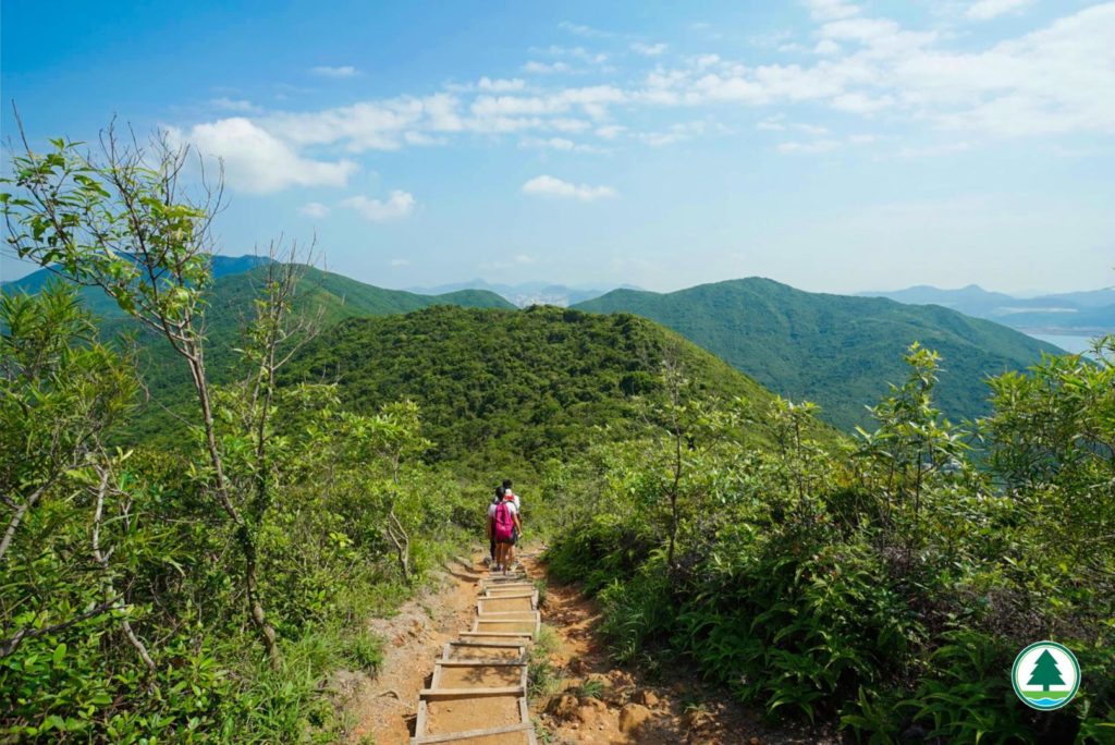 香港好去處 香港行山 行山好去處 行山新手 新手行山路線 香港行山徑 簡單行山路線 龍脊 港島徑 第八段 港島行山 菠蘿壩自然教育徑