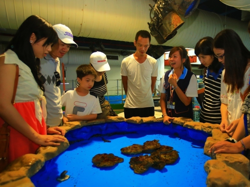 台灣墾丁 墾丁自由行 墾丁海生館 墾丁海生館前往交通 墾丁海生館的夜宿活動 墾丁海生館的門票 墾丁街車前往墾丁海生館 墾丁景點 墾丁親子景點