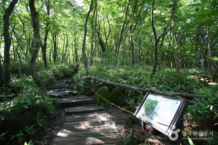 濟州島漢拏山國家地質公園 제주도 국가지질공원 愛的迫降取景地 愛的迫降拍攝地 玄彬 孫藝珍 尹世莉 李正赫