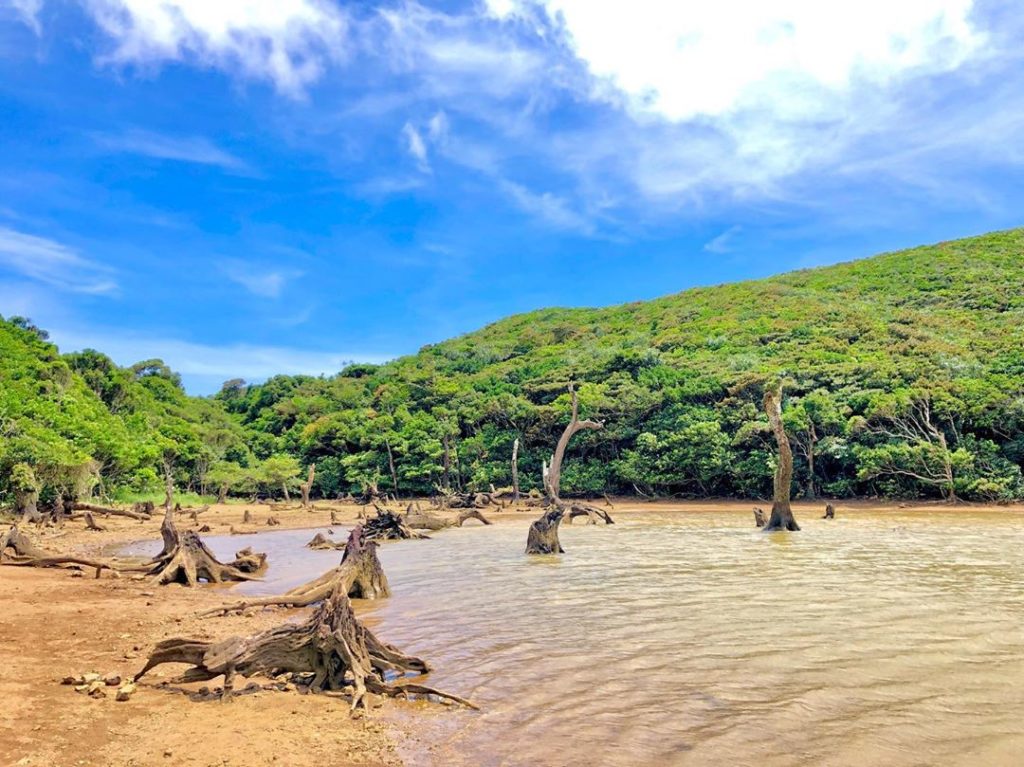 蘭嶼大天池 蘭嶼 蘭嶼景點 蘭嶼自由行 蘭嶼行程 蘭嶼交通 台灣離島 台灣離島好去處 台灣離島景點 台灣離島自由行