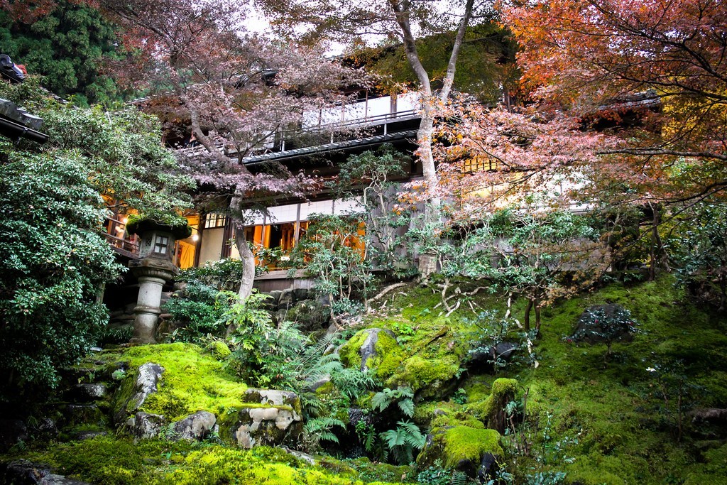 瑠璃光院 紅葉 2019 瑠璃光院 秋の拝観 瑠璃光院 2019年秋の拝観 瑠璃光院 秋季特別參拜 京都紅葉 2019 京都紅葉2019 京都必去 2019 京都景點 2019 京都必看 2019 京都好去處 2019 京都 景點 京都秋天 京都秋季 京都神社 京都祭典 2019