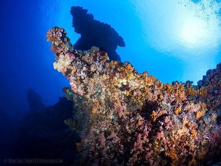 台東綠島 綠島潛水 綠島潛點 綠島水肺潛水 綠島水肺潛點 綠島水肺潛水潛點 綠島岸潛 綠島船潛
綠島雞仔礁