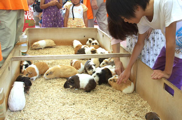 親子推介井之頭自然文化園親親小動物