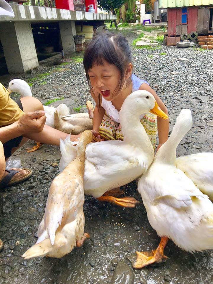 宜蘭麗野莊園休閒農場