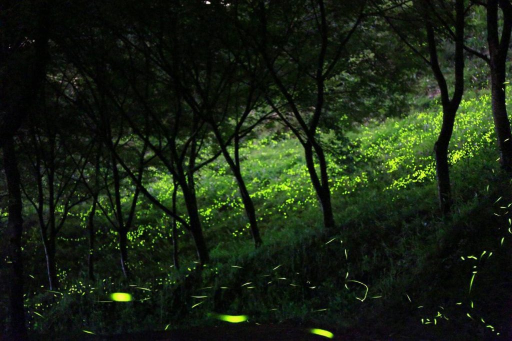翠墨莊園