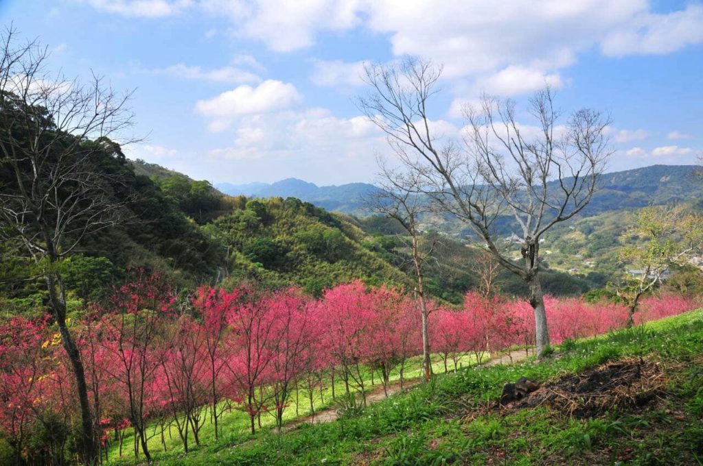 翠墨莊園