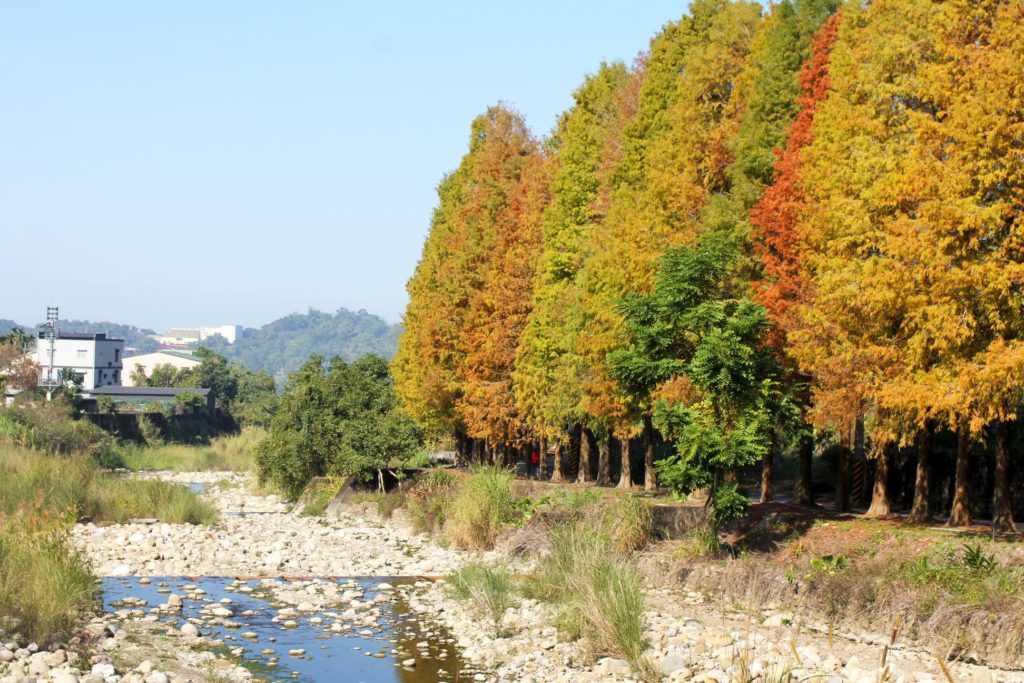 劍湖山 劍湖山世界 劍湖山世界主題樂園 劍湖山渡假大飯店 雲林景點