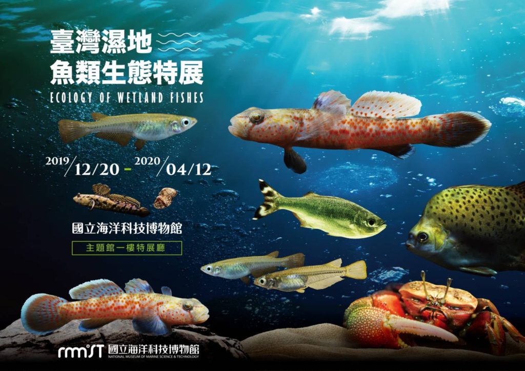 海洋科技博物館 海科館 基隆景點 基隆行程 基隆自由行 基隆一日遊