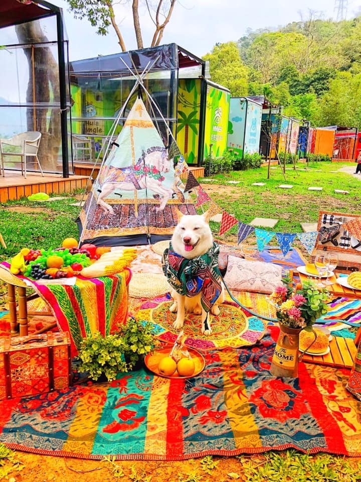 台灣露營車 苗栗露營車 台灣Glamping 苗栗Glamping
呼拉莊園