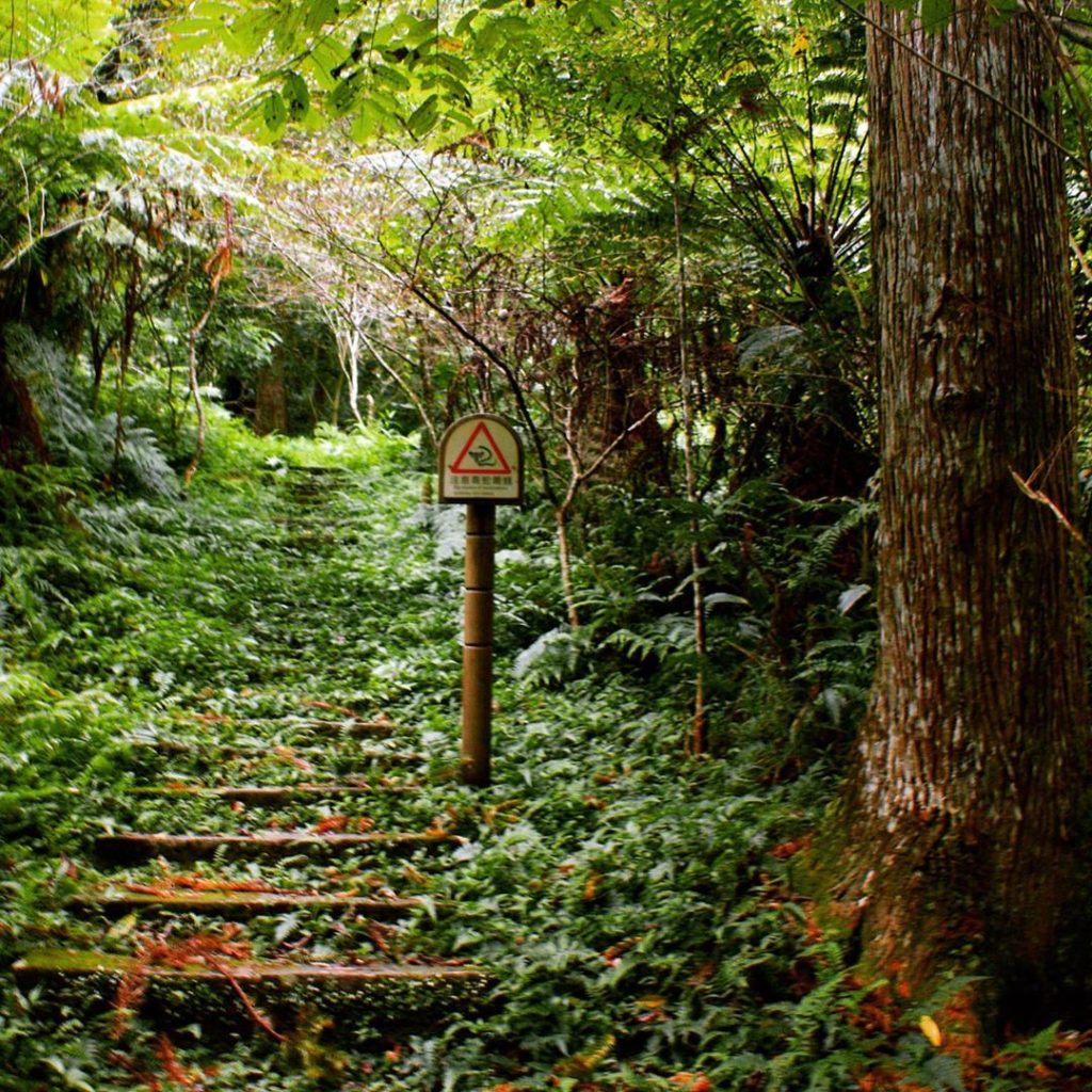 鳩之澤步道