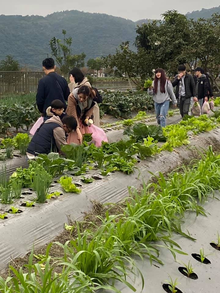 張美阿嬤農場