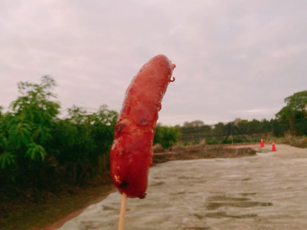 草莓世界草莓園