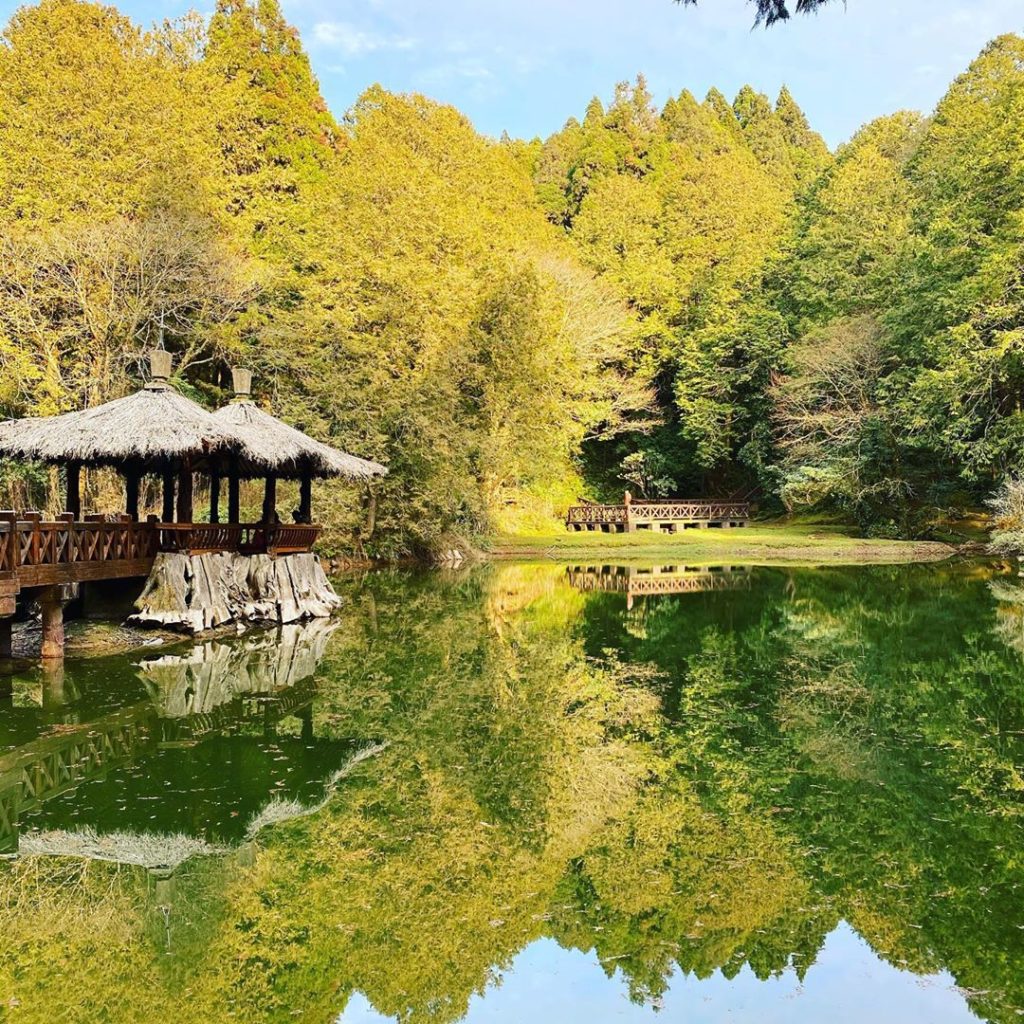 姊妹潭 阿里山小火車網上訂票 阿里山櫻花，阿里山小火車沼平線：沼平車站（最短的小火車路線）阿里山森林小火車票價