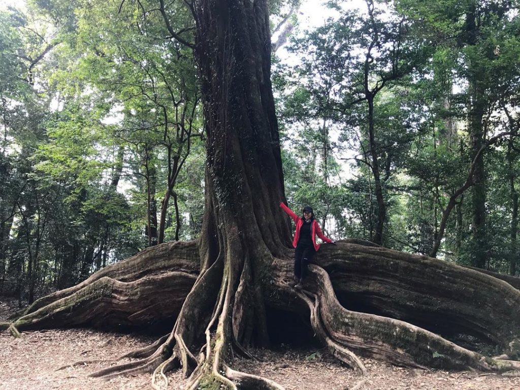 北坑山
