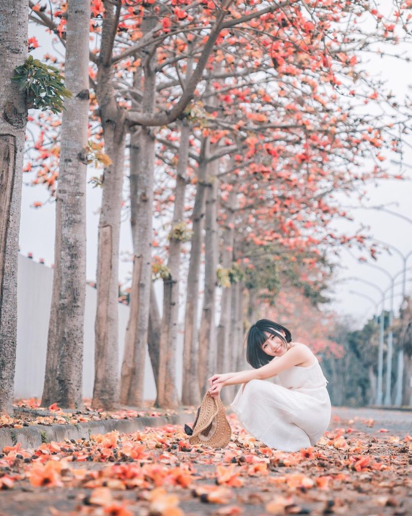高鐵歸仁木棉花道