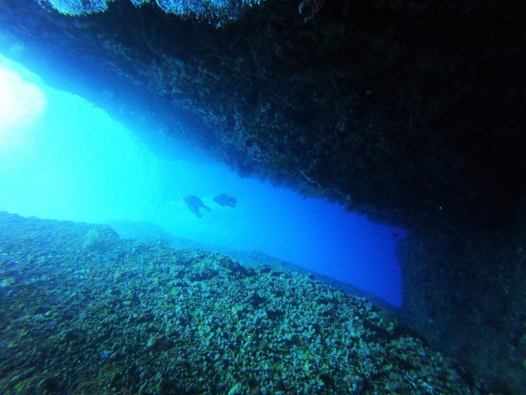 台東綠島 綠島潛水 綠島潛點 綠島水肺潛水 綠島水肺潛點 綠島水肺潛水潛點 綠島岸潛 綠島船潛
綠島海底大峽谷