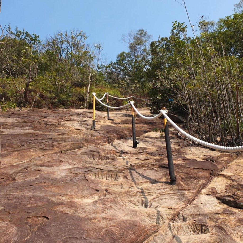 金面山步道