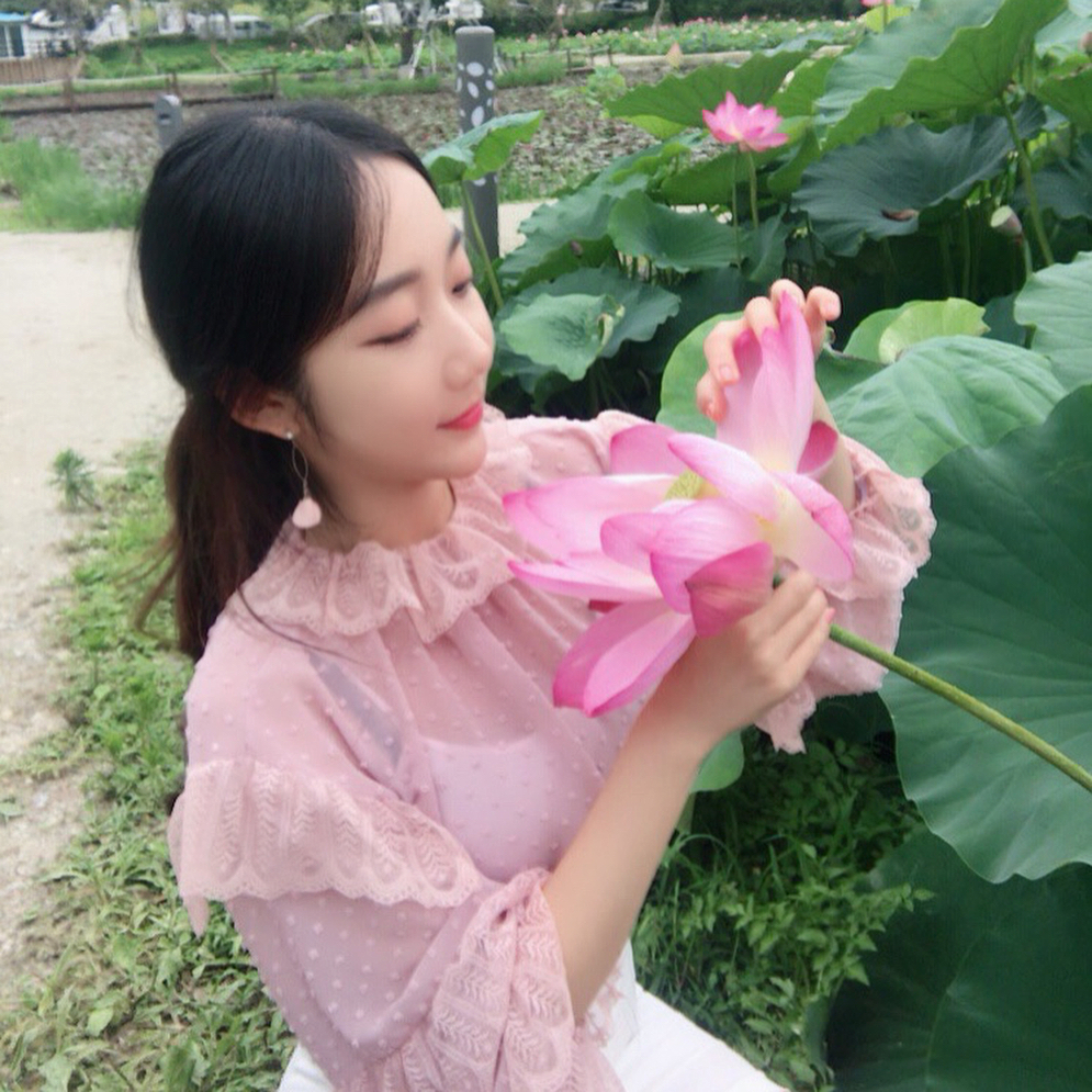 韓國荷花 荷花 韓國7月 宮南池 扶餘薯童蓮花節 부여서동연꽃축제 韓國賞花 韓國賞花景點 韓國好去處 韓國慶典 韓國必去 韓國 花 韓國打卡