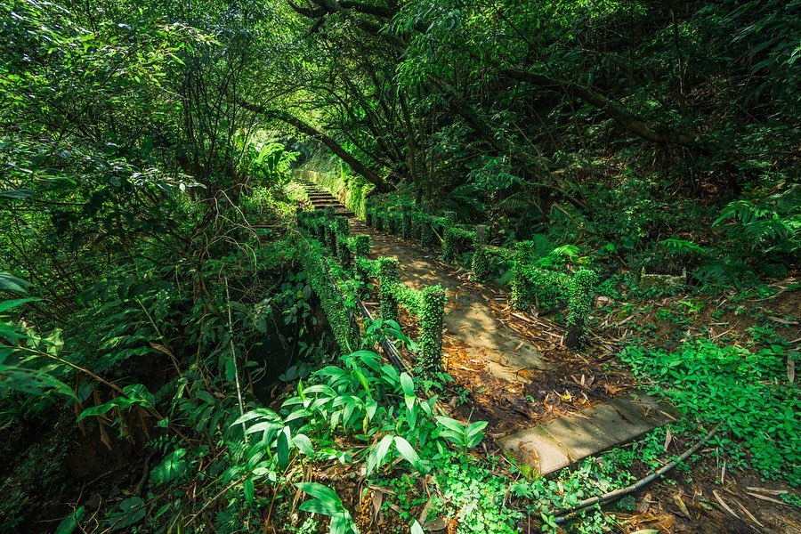 台灣登山 五寮尖登山步道 劍龍稜步道 拉繩步道 拉繩攀岩 攀岩步道 攀岩體驗 皇帝殿登山步道 登山步道 鳶嘴稍來山登山步道 孝子山步道