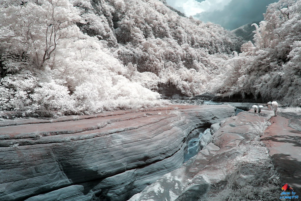 台中景點 古坑珍‧粉紅城堡 水漾森林敎堂 摩爾花園 打卡景點 澄霖沉香味道森林館 華山溪吊橋 雲林 雲林一日遊 雲林景點 萬年峽谷