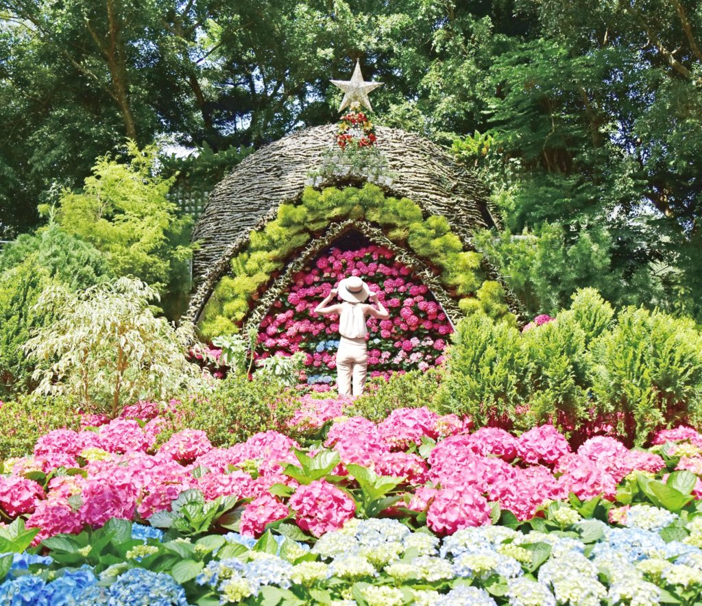 花露農場 岩川森林 烏石坑魚梯 台版土耳其棉堡 台中景點 台中秘境 台中新景點 卓蘭景點 卓蘭一日遊 台中一日遊