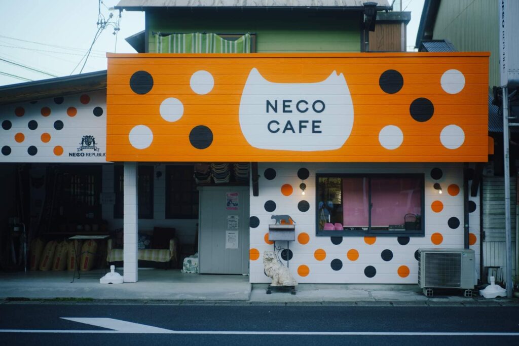 ☕ 貓咪咖啡廳：甜點與公益的完美結合
