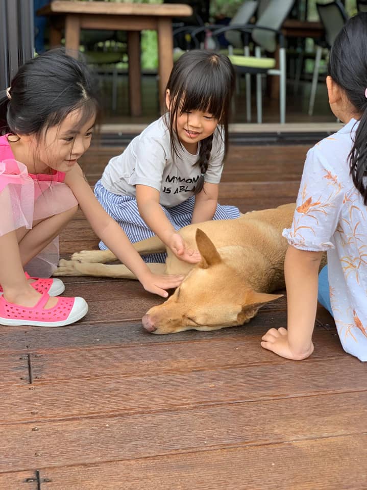 台東住宿 台東民宿 台東親子住宿 台東親子民宿 台東親子酒店 台東親子飯店 台東飯店 親子飯店 密斯朵民宿 小熊度假村 椰子海岸民宿 森野民宿 米卡撒民宿